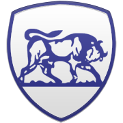 알 나스르(KSA) 엠블럼