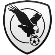 덴버 너기츠 엠블럼