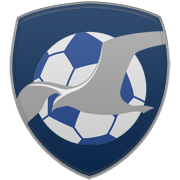 디트로이트 피스톤즈 엠블럼