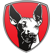 뉴캐슬 유나이티드 FC 엠블럼