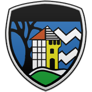 안양 정관장 엠블럼