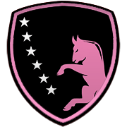 샤르자 FC 엠블럼