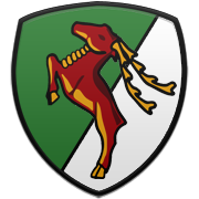 아비스파 후쿠오카 엠블럼