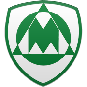 멤피스 그리즐리스 엠블럼