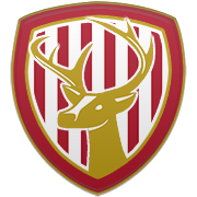 샤바브 알아흘리 클럽 엠블럼