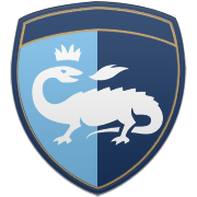 서울 삼성 엠블럼