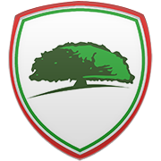 레알 베티스 엠블럼