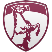 디트로이트 피스톤즈 엠블럼